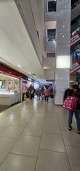 Lucky Plaza (D9), Shop House #543654891